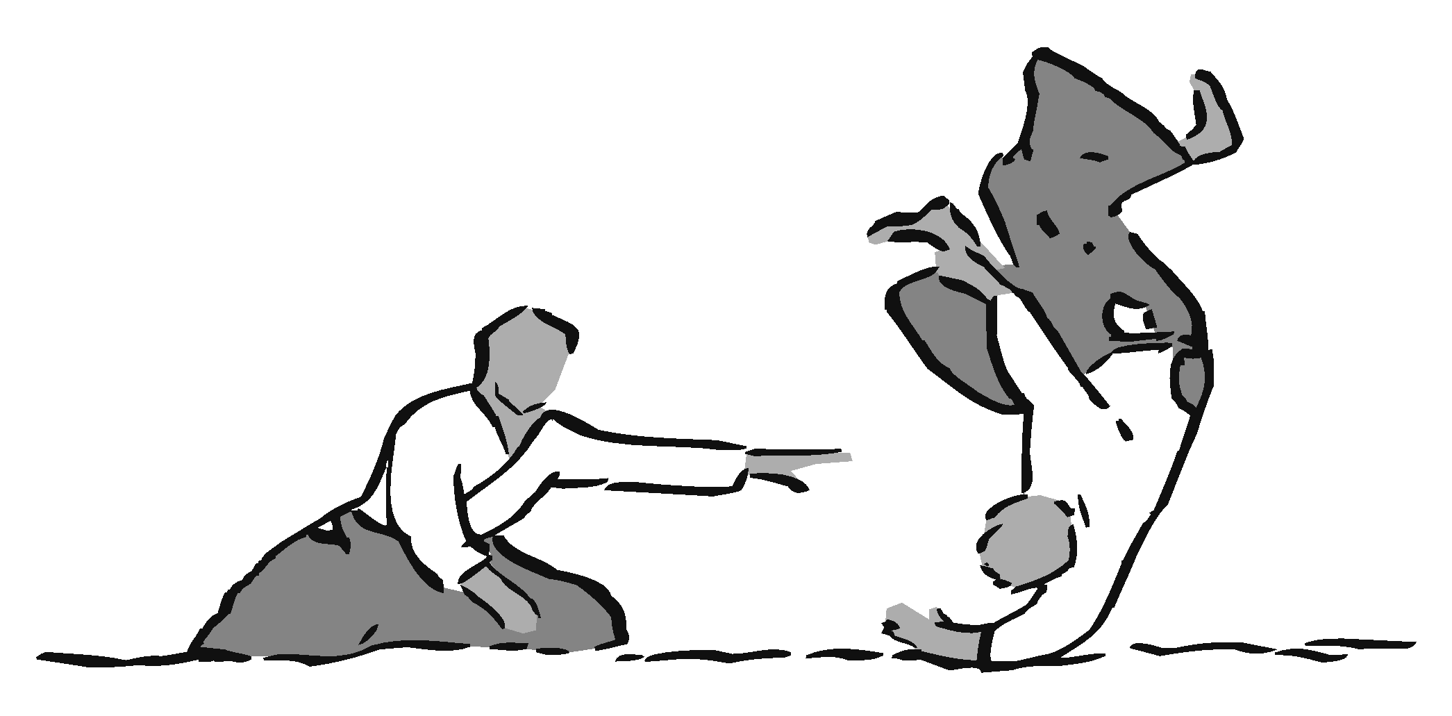 Aikido Aikikai Bonn e.V.